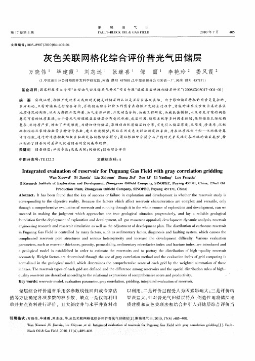 灰色关联网格化综合评价普光气田储层