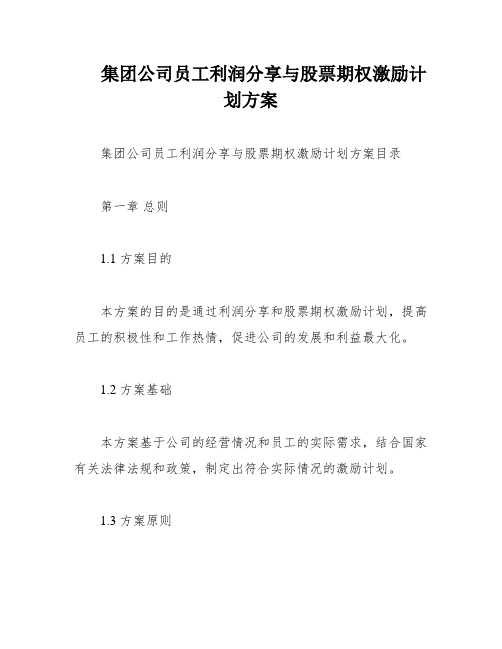 集团公司员工利润分享与股票期权激励计划方案