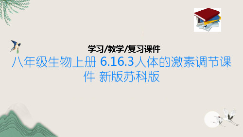八年级生物上册 6.16.3人体的激素调节课件 新版苏科版