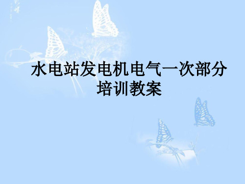 发电机电气一次部分培训教案、结构及原理、维护重点及难点、常见故障及排除方法