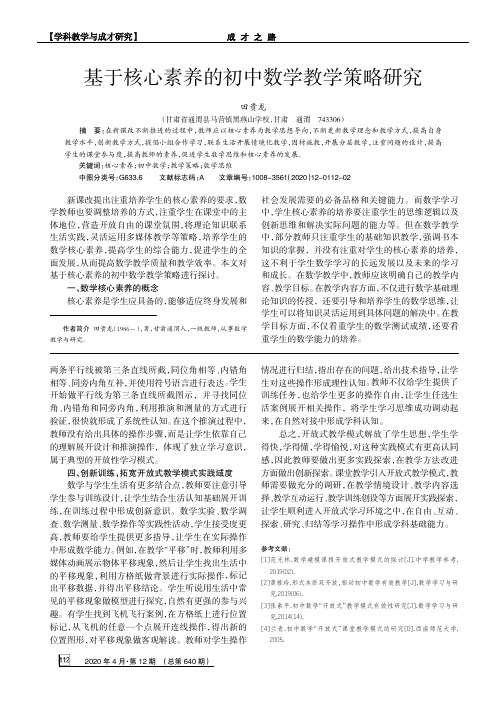 基于核心素养的初中数学教学策略研究