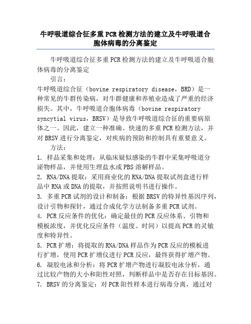 牛呼吸道综合征多重PCR检测方法的建立及牛呼吸道合胞体病毒的分离鉴定