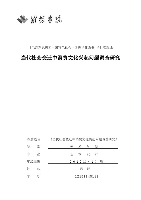 当代社会变迁中消费文化兴起问题调查研究