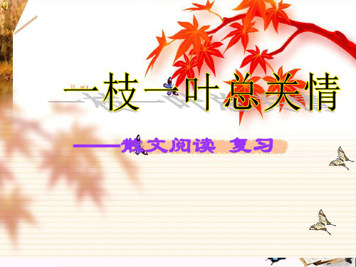 一枝一叶总关情——散文阅读复习PPT优秀课件