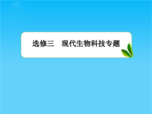 高考生物总复习配套课件4生物技术的安全性与伦理问题  选修三