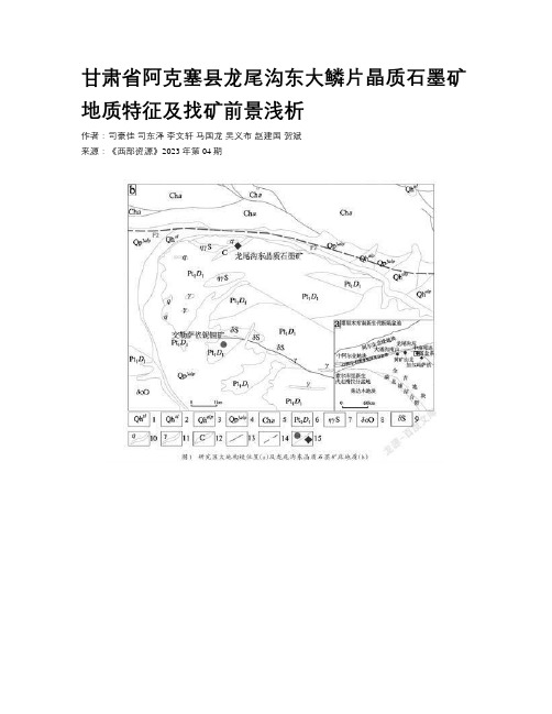 甘肃省阿克塞县龙尾沟东大鳞片晶质石墨矿地质特征及找矿前景浅析