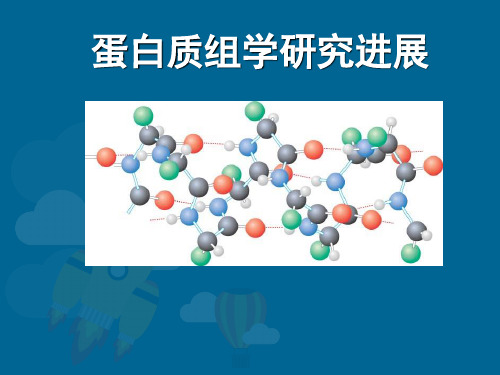 蛋白质的研究进展