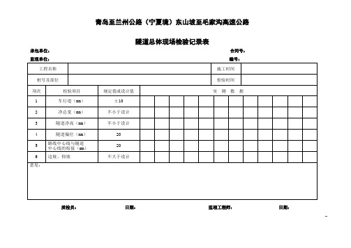 隧道检验记录表