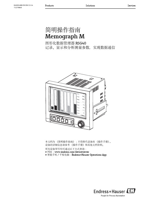 endress+hauser 简明操作指南 图形化数据管理器 rsg40 使用指南说明书