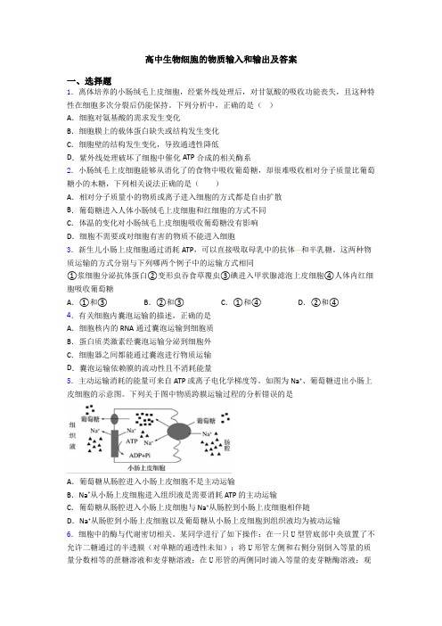 高中生物细胞的物质输入和输出及答案