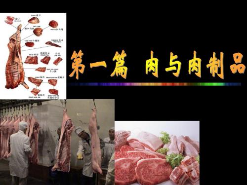 03肉与肉制品-2