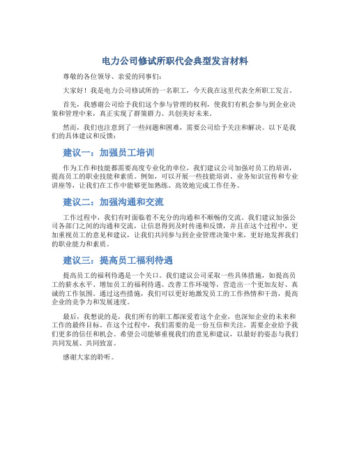 电力公司修试所职代会典型发言材料