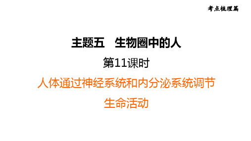 福建省生物中考复习：考点梳理篇第11课时人体通过神经系统和内分泌系统调节生命活动知识点总结与复习