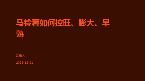 马铃薯如何控旺、膨大、早熟