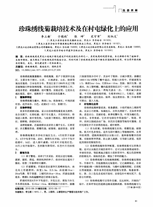 珍珠绣线菊栽培技术及在村屯绿化上的应用