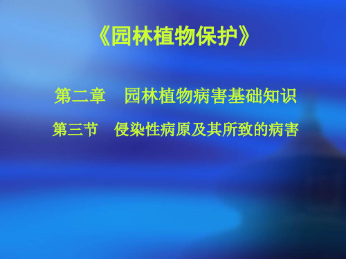 侵染性病害的病原及所致病害