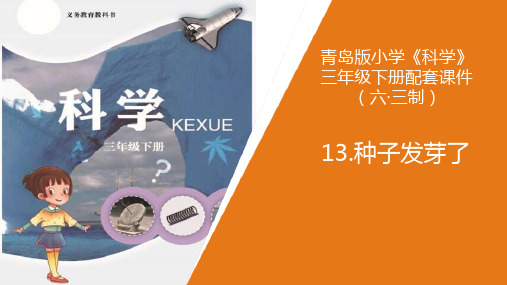 青岛版三年级上册科学《种子发芽了》PPT说课教学课件