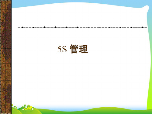 5S管理概述(ppt21页).pptx