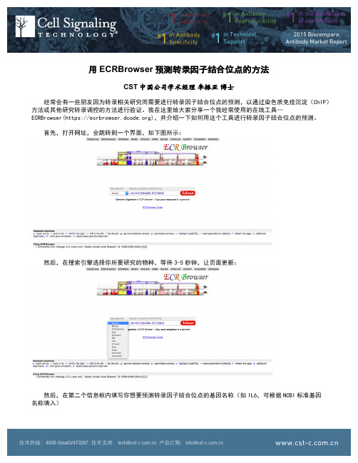 用ECRBrowser预测转录因子结合位点的方法