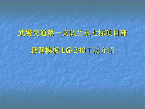 LG-240悬臂爬模工法介绍