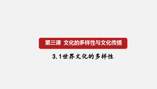 第3课 文化的多样性与文化传播(优质课件)高二政治(人教版必修三)