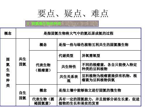 高二生物生物固氮(PPT)5-3