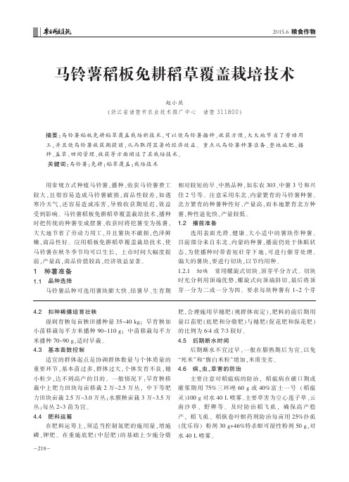 马铃薯稻板免耕稻草覆盖栽培技术