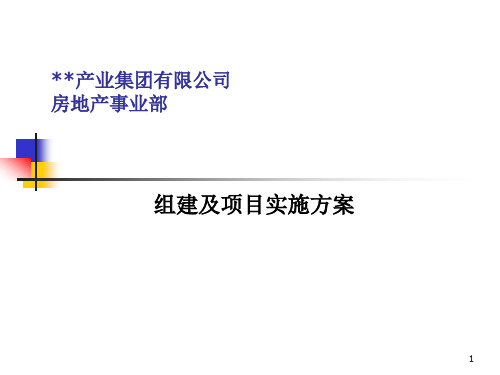 ×××产业集团有限公司房地产事组建及项目实施方案-99页