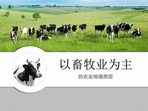 人教版高中地理必修2课件3.3以畜牧业为主的农业地域类型(共27张ppt)