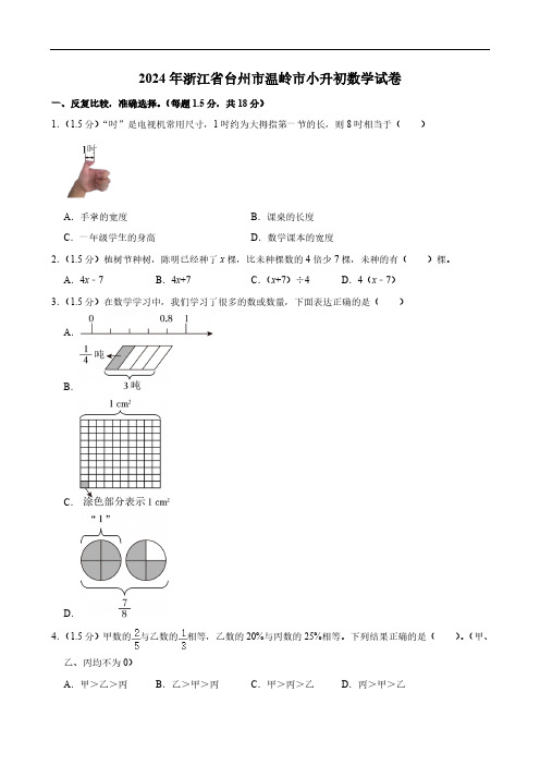 2024年浙江省台州市温岭市小升初数学试卷(含答案解析)