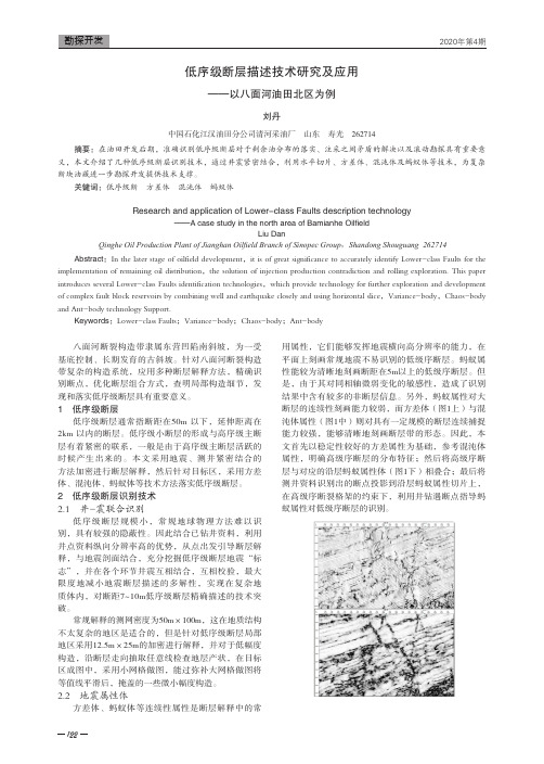 低序级断层描述技术研究及应用--以八面河油田北区为例