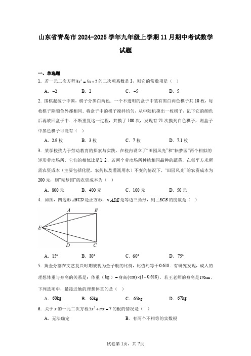 山东省青岛市2024-2025学年九年级上学期11月期中考试数学试题