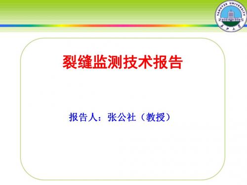 裂缝监测技术报告.概要