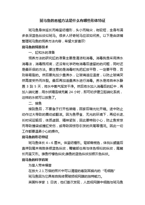 斑马鱼的养殖方法是什么有哪些形体特征