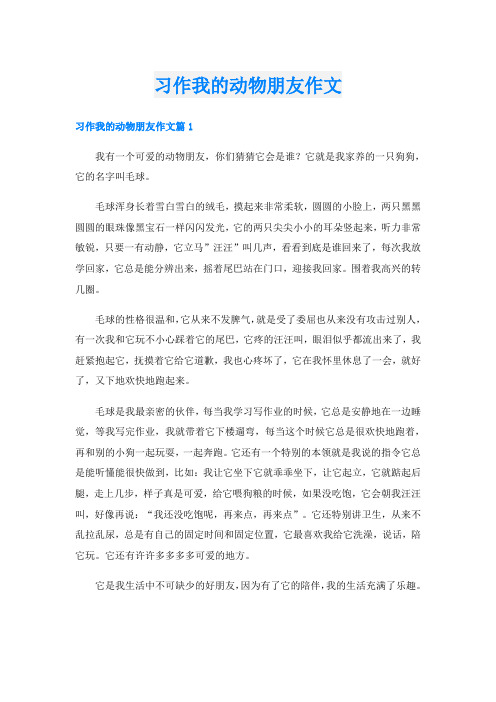 习作我的动物朋友作文