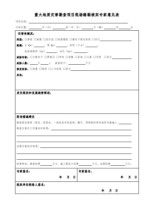 重大地质灾害勘查项目现场踏勘核实专家意见表
