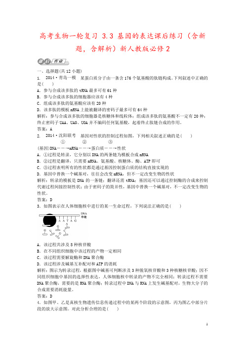 高考生物一轮复习 3.3 基因的表达课后练习(含新题,含解析)新人教版必修2