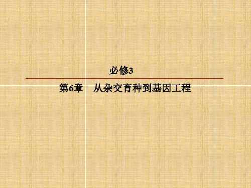 高考生物一轮复习 第6章 从杂交育种到基因工程 第1、2节 杂交育种与诱变育种 基因工程及其应用名师课件 新