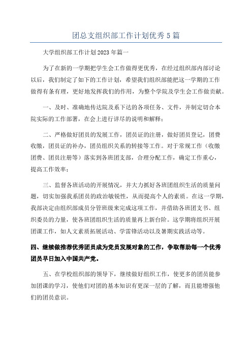 团总支组织部工作计划优秀5篇