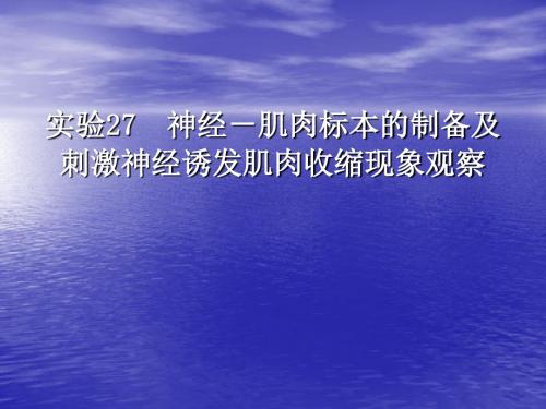 最新实验27  神经-肌肉标本的制备及刺激神经诱发肌肉收缩现象观察-药学医学精品资料