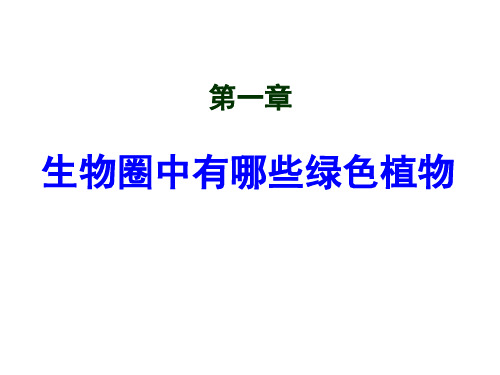 生物圈中有哪些绿色植物复习课件(人教版生物)