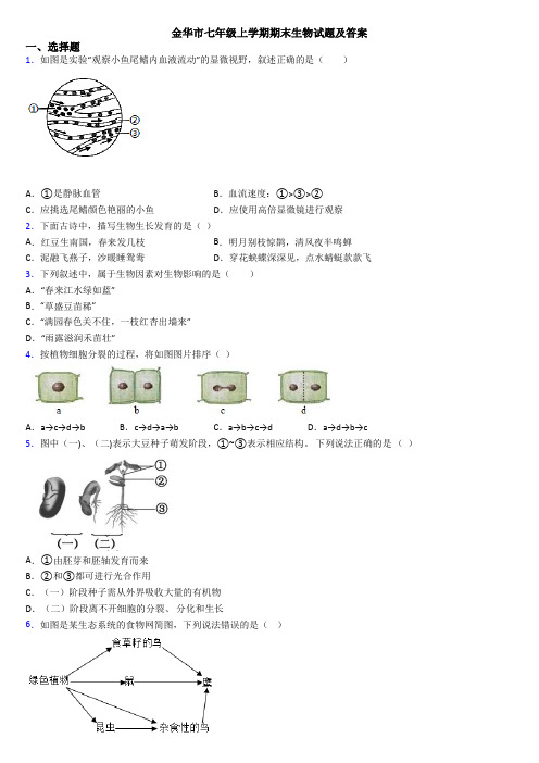 金华市七年级上学期期末生物试题及答案