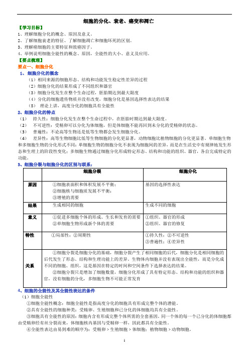 6.2细胞的分化导学案