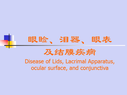 眼科学：睑板泪器眼表结膜