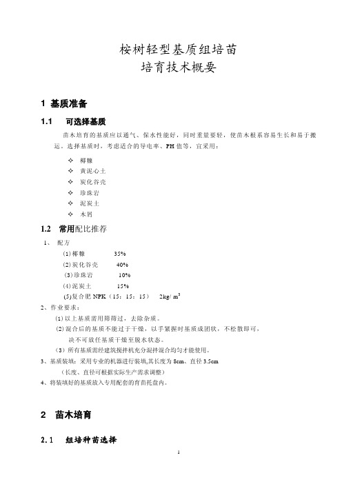 桉树轻型基质组培育苗技术概要