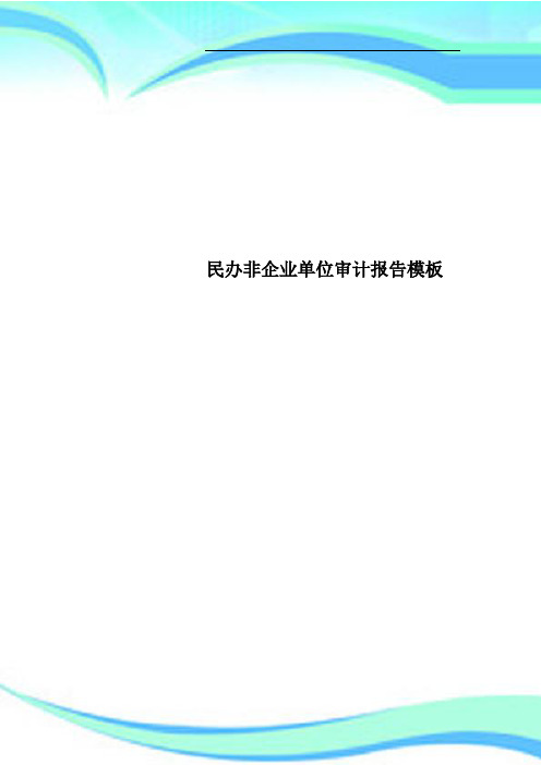 民办非企业单位审计报告模板