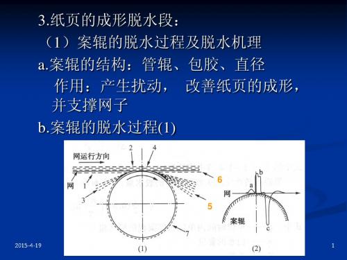 造纸原理与工程4