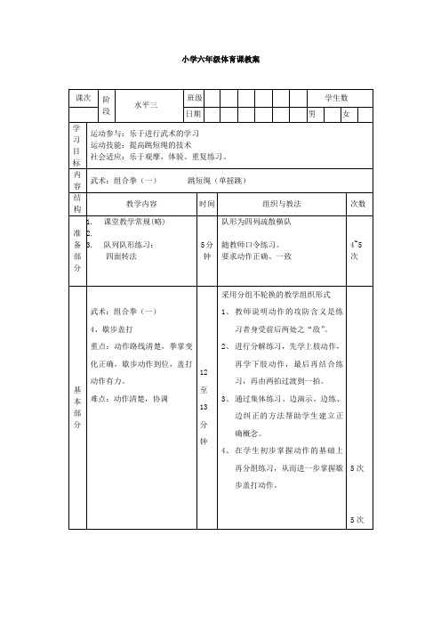 体育教案：武术：组合拳(一)4