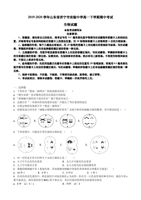 2019-2020学年山东省济宁市实验中学高一下学期期中考试生物试题