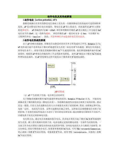 动作电位及其形成原理